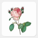 Suche nach rosenaufkleber Rosa rosenaufkleber