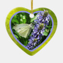 Suche nach lila schmetterling ornamente Blume