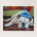 Suche nach englische bulldogge puzzle Welpe