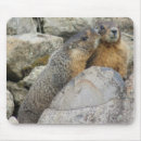 Suche nach murmeltier mousepads Natur