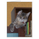 Suche nach xena Katze