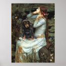 Suche nach langhaarige dackel poster Haustiere