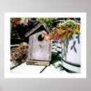 Suche nach vogelhaus poster Natur