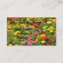 Suche nach ringelblume visitenkarten Blumen