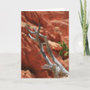 Suche nach bryce schlucht karten Natur