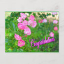 Suche nach begrüßen karten Rosa