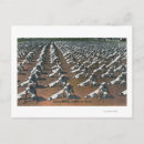 Suche nach ausbildung postkarten Marine