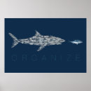 Suche nach kleiner fisch poster Kleine fische
