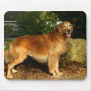 Suche nach flache mousepads Felsen