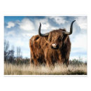 Suche nach haarig poster Niedlich