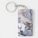 Suche nach canis lupus schlüsselanhänger Wolf