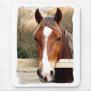 Suche nach pferde mousepads Niedlich