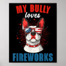 Suche nach bully poster Republikaner