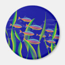 Suche nach algen magnete Fische