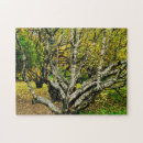 Suche nach birkenbaum puzzle Wald