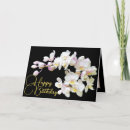 Suche nach weiße orchideen karten Für sie
