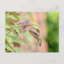 Suche nach blühende pflanzen postkarten Flora