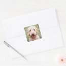 Suche nach lächelnder hund aufkleber Haustier