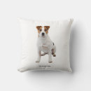 Suche nach fuchsjagd wohnen zuhause Hund