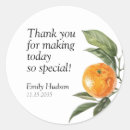 Suche nach zitrusfrüchte aufkleber Orange