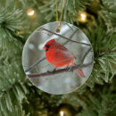 Suche nach wintergarten ornamente Urlaub