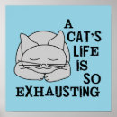 Suche nach niesen poster Katze