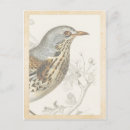 Suche nach französischer vogel postkarten Natur