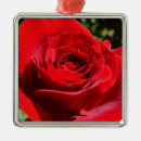 Suche nach schöne blume ornamente Blumenreich