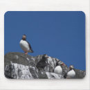 Suche nach papageientaucher mousepads Vögel