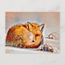 Suche nach fox postkarten Jungtiere
