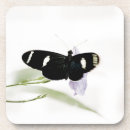 Suche nach cork untersetzer Sommer