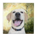 Suche nach gelber labrador fliesen Retriever