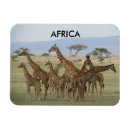 Suche nach namibia magnete Safari