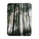 Suche nach baumstämme magnete Wachstum