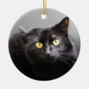 Suche nach schwarze katze ornamente miezekatze