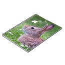 Suche nach niedliches kaninchen kleine notizbücher Ostern