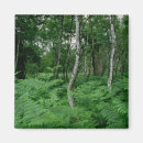 Suche nach in diesem holz magnete Fotografie