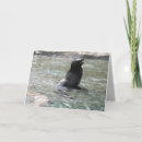 Suche nach lachende karten Foto