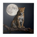 Suche nach leopard fliesen Wildtiere
