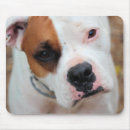 Suche nach weißer boxer mousepads Niedlich