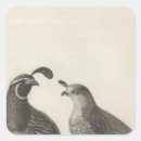 Suche nach rebhuhn aufkleber Vogel