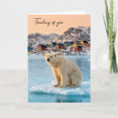 Suche nach eisbär Wildtiere
