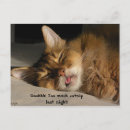 Suche nach hangover postkarten Lustig