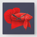 Suche nach große fische wanduhren Unterwasser