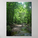 Suche nach suriname poster Natur