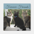 Suche nach keine fenster magnete Tiere