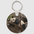Suche nach riesig schlüsselanhänger Panda