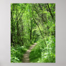 Suche nach waldweg poster Fotografie