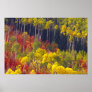 Suche nach utah herbst poster Logan canyon