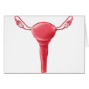 Suche nach weibliche anatomie postkarten Gonade